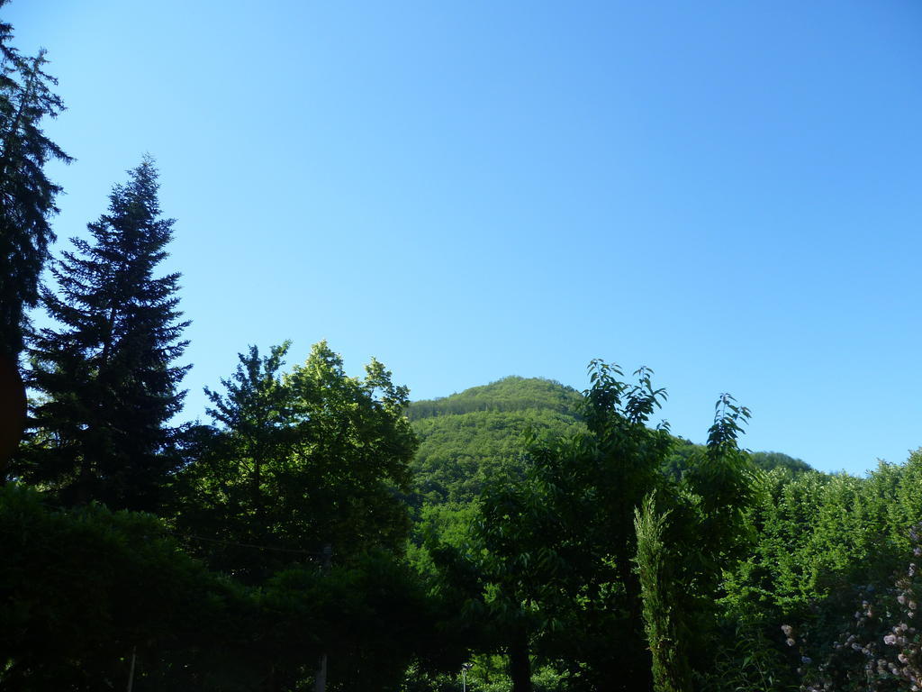 Villa Lucchesi Bagni di Lucca Dış mekan fotoğraf